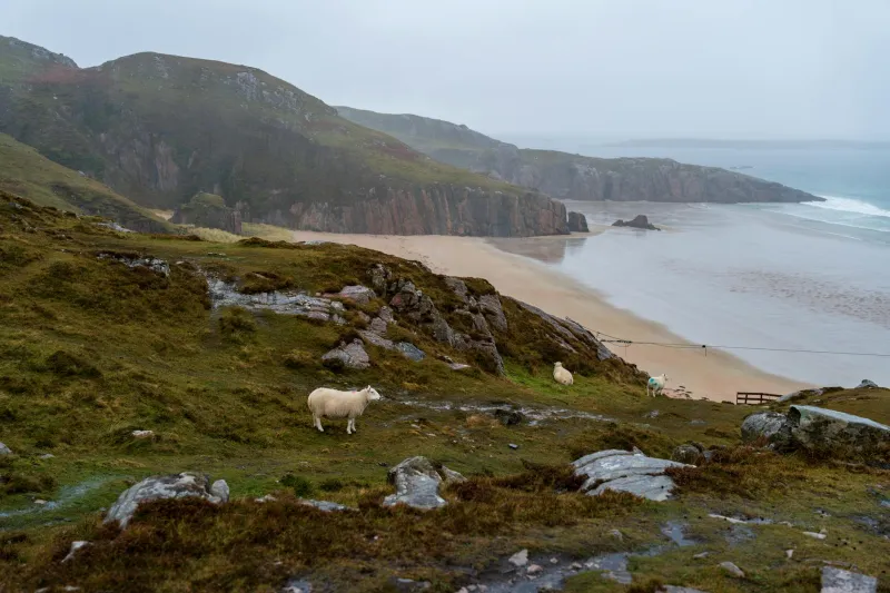 Canvas and Coastline: The Artists Finding Their Voice in Dunbeath's Wild Landscapes