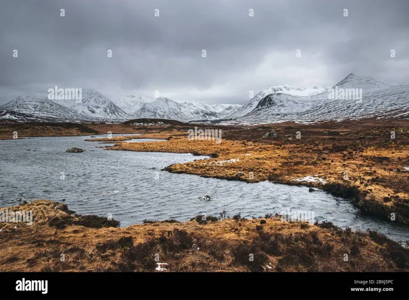 Come in January: The Case for Choosing Dunbeath at Its Wildest and Most Honest