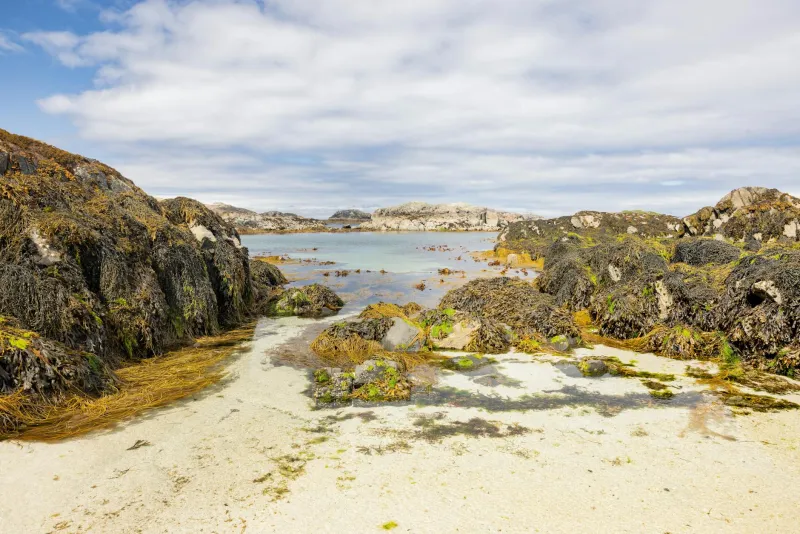 Following Neptune's Schedule: Why Tidal Timing Transforms Your Dunbeath Adventure