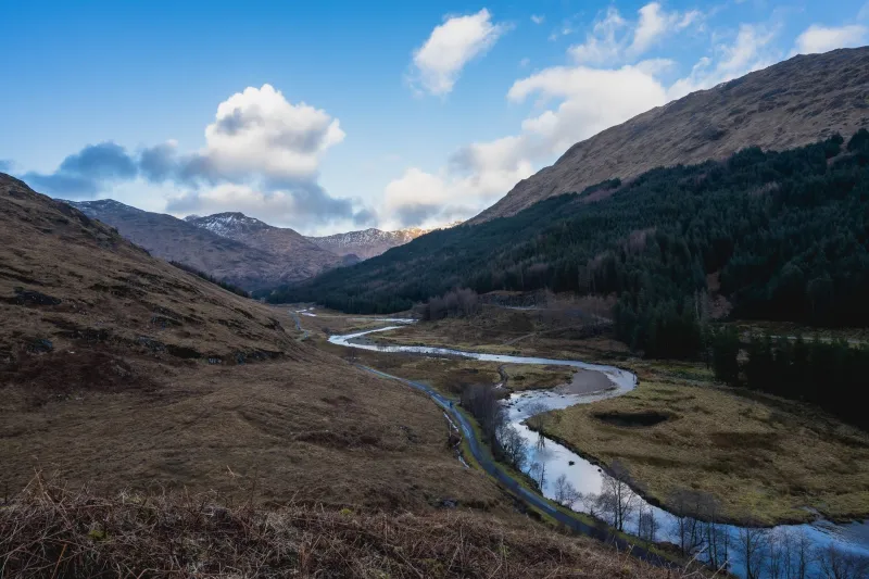 Petals and Pathways: The Wildflower Lover's Guide to Dunbeath Strath